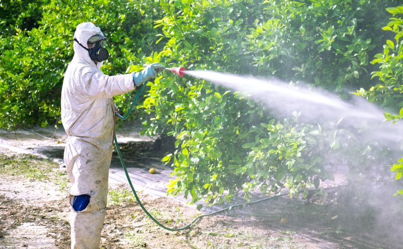 Pest Fumigation