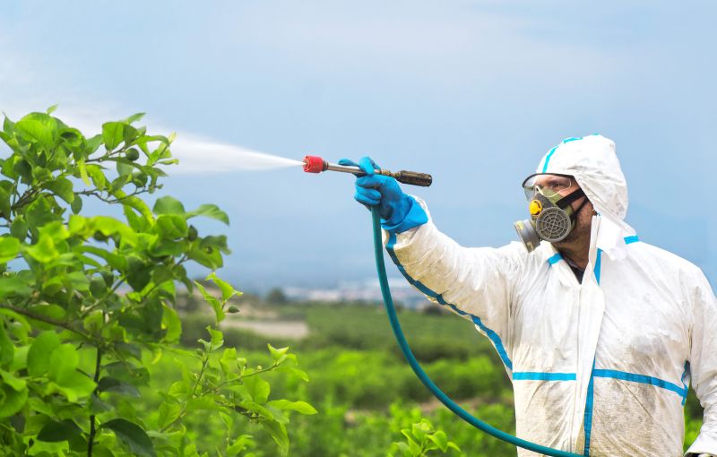 Commercial Fumigation in Franklin, TN