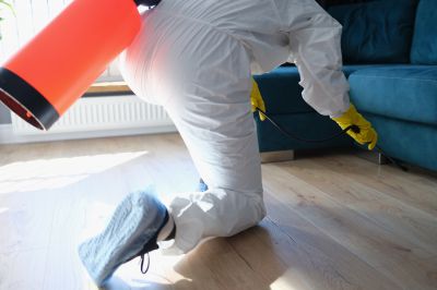 Fumigation Service in Woodbridge, VA