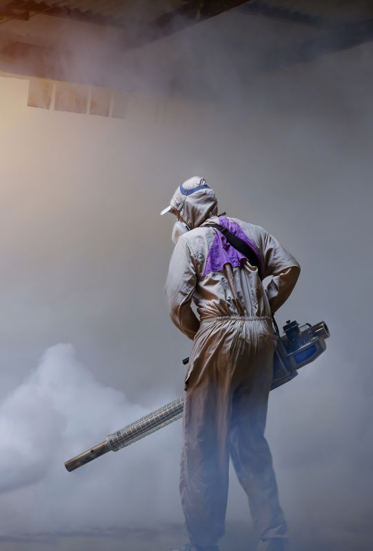 Pest Fumigation Service in Coeur D Alene, ID