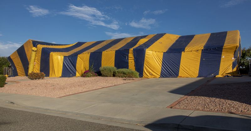Termite Tenting in West Palm Beach, FL