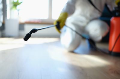 What Is Fumigation, And When Is It Necessary For Pest Control?