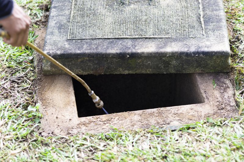 Rat Fumigation Service in Kalamazoo, MI